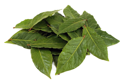basil leaves